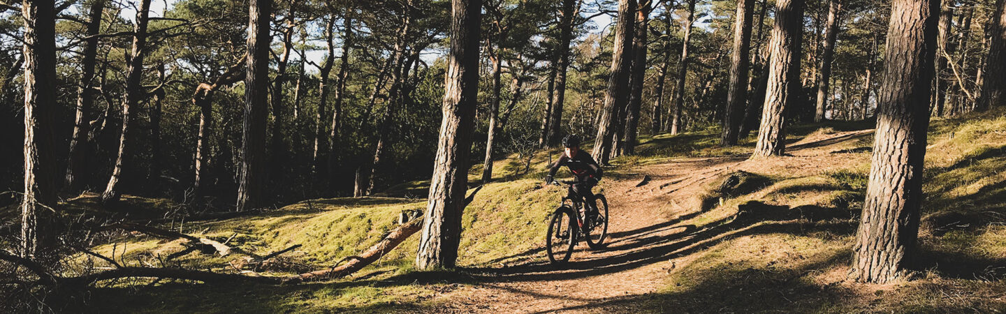 Ridge-cyklist på skogsväg