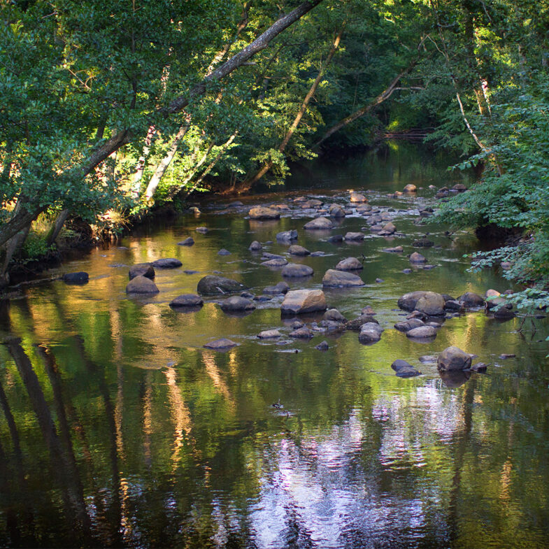Stensån i Malenskogen, Båstad